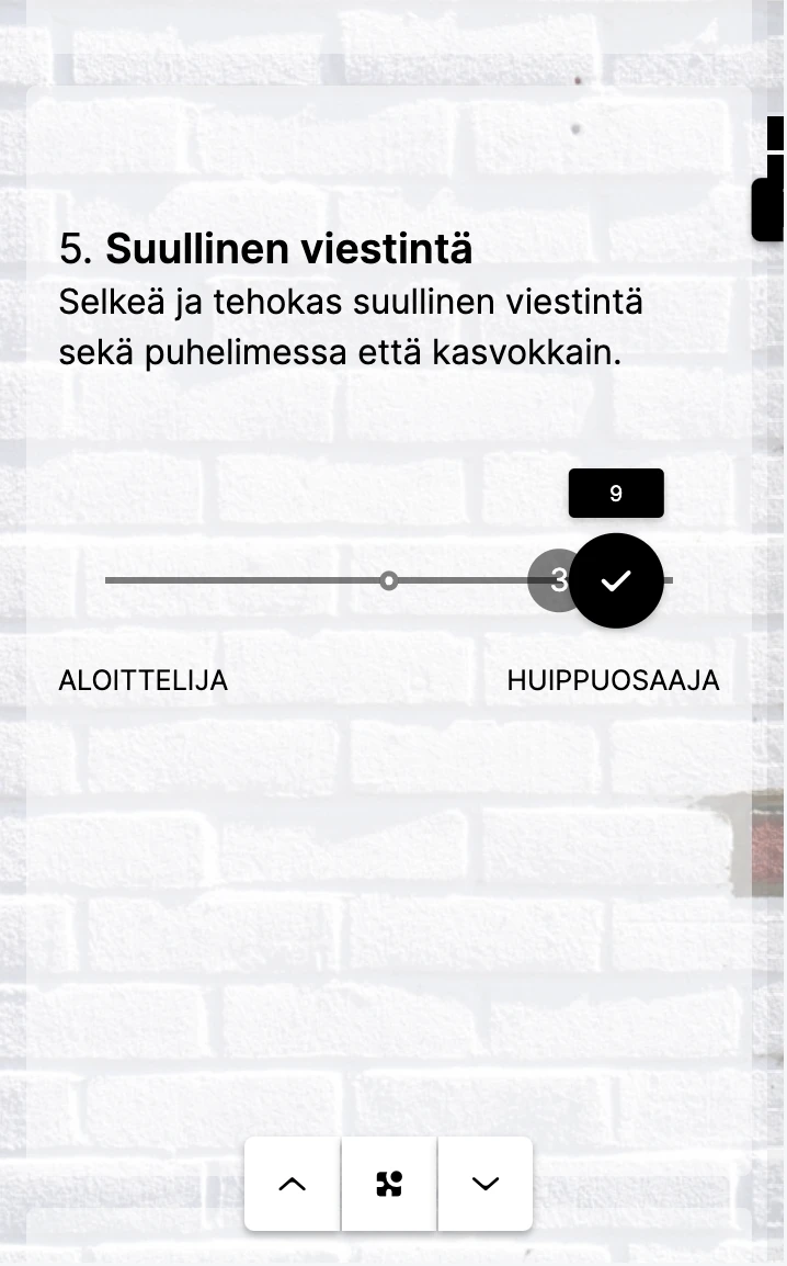 Testaa osaamiskartoitusta
